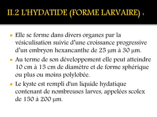  Elle se forme dans divers organes par la
vésiculisation suivie d’une croissance progressive
d’un embryon hexancanthe de 25 µm à 30 µm.
 Au terme de son développement elle peut atteindre
10 cm à 15 cm de diamètre et de forme sphérique
ou plus ou moins polylobée.
 Le kyste est rempli d'un liquide hydatique
contenant de nombreuses larves, appelées scolex
de 150 à 200 µm.
 