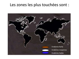 Les zones les plus touchées sont :




                       Endémie forte
                       Endémie moyenne
                       Endémie faible
 