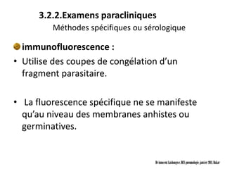 3.2.2.Examens paracliniques
         Méthodes spécifiques ou sérologique

  immunofluorescence :
• Utilise des coupes de congélation d’un
  fragment parasitaire.

• La fluorescence spécifique ne se manifeste
  qu’au niveau des membranes anhistes ou
  germinatives.


                                    Dr innocent kashongwe, DES pneumologie, janvier 2011, Dakar
 