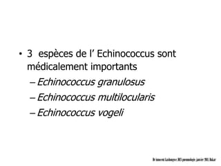• 3 espèces de l’ Echinococcus sont
  médicalement importants
  – Echinococcus granulosus
  – Echinococcus multilocularis
  – Echinococcus vogeli



                              Dr innocent kashongwe, DES pneumologie, janvier 2011, Dakar
 
