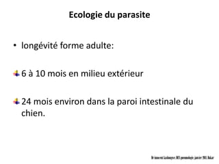 Ecologie du parasite


• longévité forme adulte:

  6 à 10 mois en milieu extérieur

  24 mois environ dans la paroi intestinale du
  chien.



                                     Dr innocent kashongwe, DES pneumologie, janvier 2011, Dakar
 