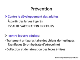 Prévention
 Contre le développement des adultes
  À partir des larves ingérés
  ESSAI DE VACCINATION EN COURS

 contre les vers adultes:
- Traitement antiparasitaire des chiens domestiques
   Taenifuges (bromhydrate d’aérocoline)
- Collection et dénaturation des fécès émises

                                    Dr innocent kashongwe, DES pneumologie, janvier 2011, Dakar
 