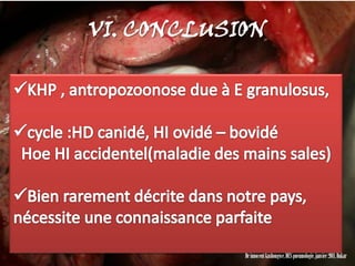 VI. CONCLUSION




            Dr innocent kashongwe, DES pneumologie, janvier 2011, Dakar
 