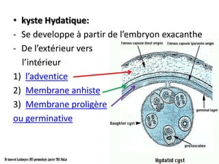 • kyste Hydatique:
       - Se developpe à partir de l’embryon exacanthe
       - De l’extérieur vers
         l’intérieur
       1) l’adventice
       2) Membrane anhiste
       3) Membrane proligère
       ou germinative



Dr innocent kashongwe, DES pneumologie, janvier 2011, Dakar
 