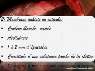 Dr innocent kashongwe, DES pneumologie, janvier 2011, Dakar
 