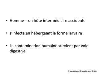 • Homme = un hôte intermédiaire accidentel

• s’infecte en hébergeant la forme larvaire

• La contamination humaine survient par voie
  digestive



                                   Dr innocent kashongwe, DES pneumologie, janvier 2011, Dakar
 