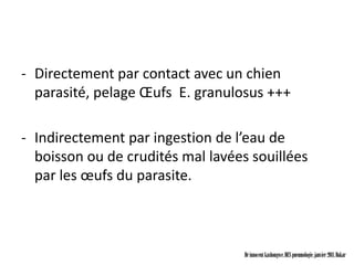 - Directement par contact avec un chien
  parasité, pelage Œufs E. granulosus +++

- Indirectement par ingestion de l’eau de
  boisson ou de crudités mal lavées souillées
  par les œufs du parasite.



                                   Dr innocent kashongwe, DES pneumologie, janvier 2011, Dakar
 