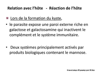 Relation avec l’hôte - Réaction de l’hôte

   Lors de la formation du kyste,
• le parasite expose une paroi externe riche en
  galactose et galactosamine qui inactivent le
  complément et le système immunitaire.

• Deux systèmes principalement activés par
  produits biologiques contenant le mannose.


                                  Dr innocent kashongwe, DES pneumologie, janvier 2011, Dakar
 