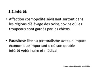 1.2.intérêt:
• Affection cosmopolite sévissant surtout dans
  les régions d’élévage des ovins,bovins où les
  troupeaux sont gardés par les chiens.

• Parasitose liée au pastoralisme avec un impact
  économique important d’où son double
  intérêt vétérinaire et médical


                                   Dr innocent kashongwe, DES pneumologie, janvier 2011, Dakar
 