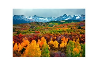 Childrens Interstitial Lung Disease Clinical Overview