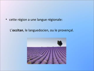 • cette région a une langue régionale:

  L’occitan, le languedocien, ou le provençal.
 