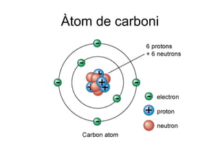 Àtom de carboni
 