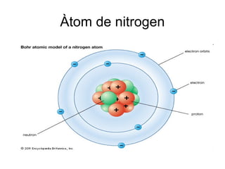 Àtom de nitrogen
 