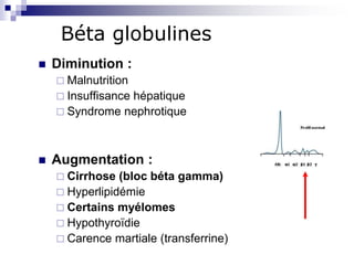 Béta globulines
 Diminution :
 Malnutrition
 Insuffisance hépatique
 Syndrome nephrotique
 Augmentation :
 Cirrhose ...