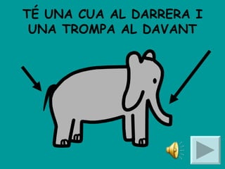 TÉ UNA CUA AL DARRERA I UNA TROMPA AL DAVANT 