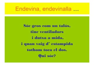 Endevina, endevinalla …
Sóc gros com un talós,
tinc ventiladors
i dutxa a mida,
i quan vaig d’ estampida
tothom toca el dos.
Qui sóc?

 