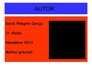 AUTOR
David Pelegrín Carujo
1r Alzina
Novembre 2013
Moltes gràcies!!

 