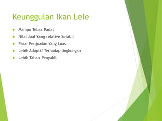Keunggulan Ikan Lele
 Mampu Tebar Padat
 Nilai Jual Yang relative Setabil
 Pasar Penjualan Yang Luas
 Lebih Adaptif Terhadap lingkungan
 Lebih Tahan Penyakit
 
