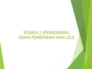SEGMEN 2 (PENDEDERAN)
USAHA PEMBENIHAN IKAN LELE
 