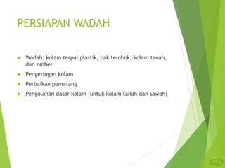 PERSIAPAN WADAH
 Wadah: kolam terpal plastik, bak tembok, kolam tanah,
dan ember
 Pengeringan kolam
 Perbaikan pematang
 Pengolahan dasar kolam (untuk kolam tanah dan sawah)
 