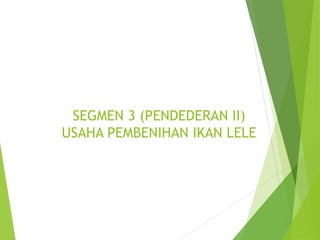 SEGMEN 3 (PENDEDERAN II)
USAHA PEMBENIHAN IKAN LELE
 