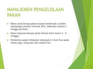 MANAJEMEN PENGELOLAAN
PAKAN
 Pakan awal berupa pakan buatan berbentuk crumble
(kandungan protein minimal 35%), diberikan selama 1
minggu pertama.
 Pakan lanjutan berupa pelet butiran kecil (umur 2 - 5
minggu)
 Pemberian pakan dilakukan sebanyak 2-3 kali/hari pada
waktu pagi, siang sore dan malam hari
 