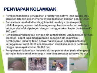 ❖ Pembasmian hama berupa ikan predator (misalnya ikan gabus) atau
sisa ikan lele lain jika memungkinkan dilakukan dengan pengeringan.
❖ Pada kolam tanah di daerah yg kondisi tanahnya masam perlu
dilakukan pengapuran untuk mengurangi keasaman tanah sekaligus
sebagai desinfeksi patogen dengan menggunakan kapur pertanian 50-
100 g/m2.
❖ Pengisian air kolam/bak dengan air sungai/irigasi untuk menumbuhkan
plankton, dapat juga menggunakan sebagian air kolam/bak
pembesaran lama yg telah berwarna kehijauan sebagai inokulan,
ketinggian air awal 50-60 cm, kemudian dinaikkan secara bertahap
hingga mencapai sekitar 80-100 cm.
❖ Pengisian air kolam/bak melalui saluran pemasukan perlu dilengkapi
saringan halus untuk mencegah ikan-ikan predator terbawa masuk.
PENYIAPAN KOLAM/BAK
 