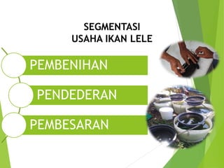 SEGMENTASI
USAHA IKAN LELE
PEMBENIHAN
PENDEDERAN
PEMBESARAN
 