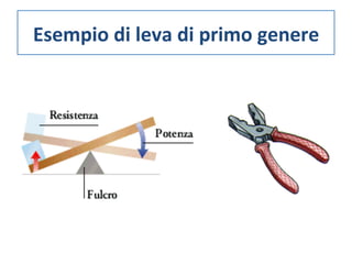Esempio 
di 
leva 
di 
primo 
genere 
 