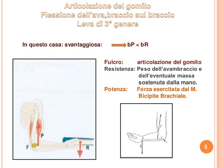 Le leve applicate al corpo umano