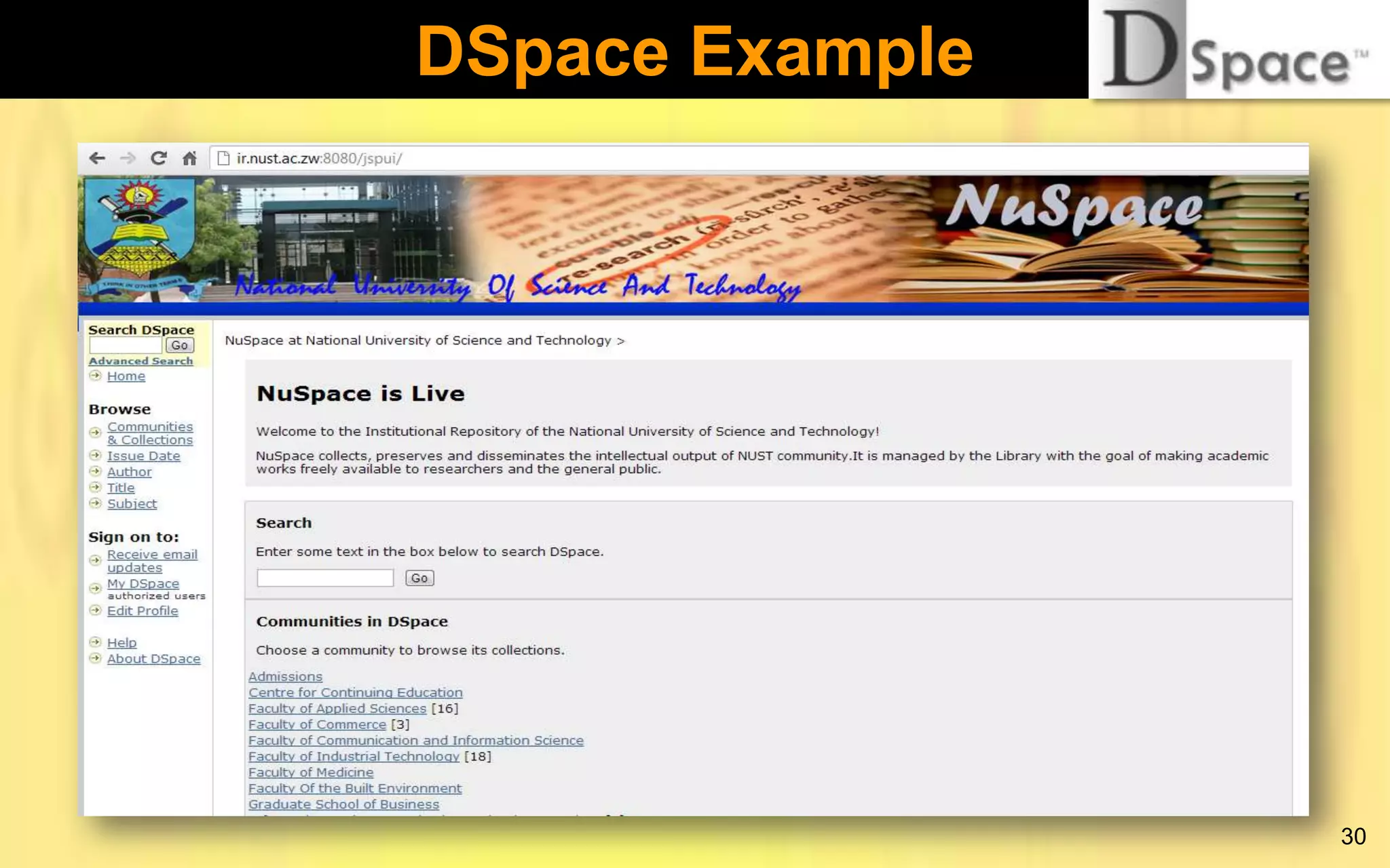 DSpace Example

30

 