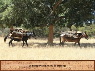 Le transport vers le lieu de stockage
 