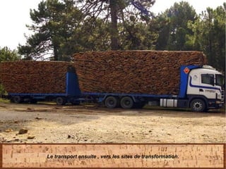 Le transport ensuite , vers les sites de transformation.
 