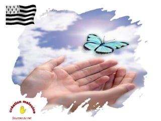 Le liège au portugal