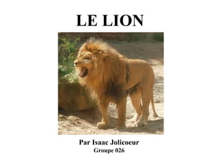 LE LION

Par Isaac Jolicoeur
Groupe 026

 