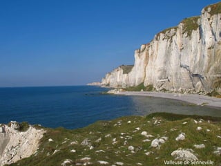 Valleuse de Senneville

 