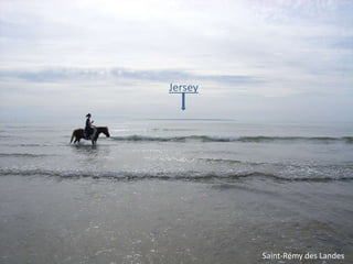 Jersey

Saint-Rémy des Landes

 