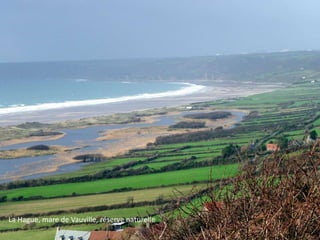 La Hague, mare de Vauville, réserve naturelle

 
