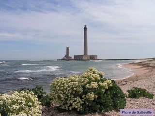 Phare de Gatteville

 