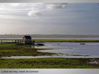 La Baie des Veys, marais de Carentan

 