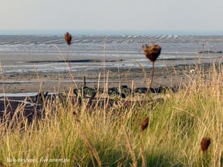 Baie des Veys, rive orientale

 