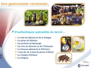 Une gastronomie renommée
D'authentiques spécialités du terroir…
 Le miel du Gâtinais et de la Sologne
 Le safran du Gâtinais
 Les pralines de Montargis
 Les vins du Giennois et de l’Orléanais
 La fameuse pâtisserie le Pithiviers
 L’eau-de-vie à base de poires d’Olivet
 Le vinaigre d'Orléans
 Le Cotignac
 