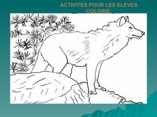 ACTIVITES POUR LES ELEVES
         COLORIE
 