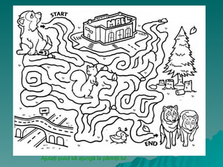 Ajutaţi puiul să ajungă la părinţii lui
 