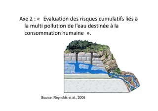 Axe 2 : « Évaluation des risques cumulatifs liés à
la multi pollution de l’eau destinée à la
consommation humaine ».
Source: Reynolds et al., 2008
 