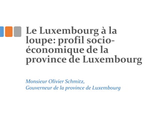 Le Luxembourg à la
loupe: profil socio-
économique de la
province de Luxembourg
Monsieur Olivier Schmitz,
Gouverneur de la province de Luxembourg
 