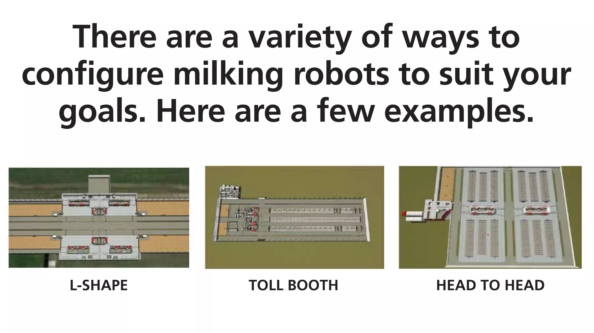 There are a variety of ways to
configure milking robots to suit your
goals. Here are a few examples.
L-SHAPE TOLL BOOTH HEAD TO HEAD
 