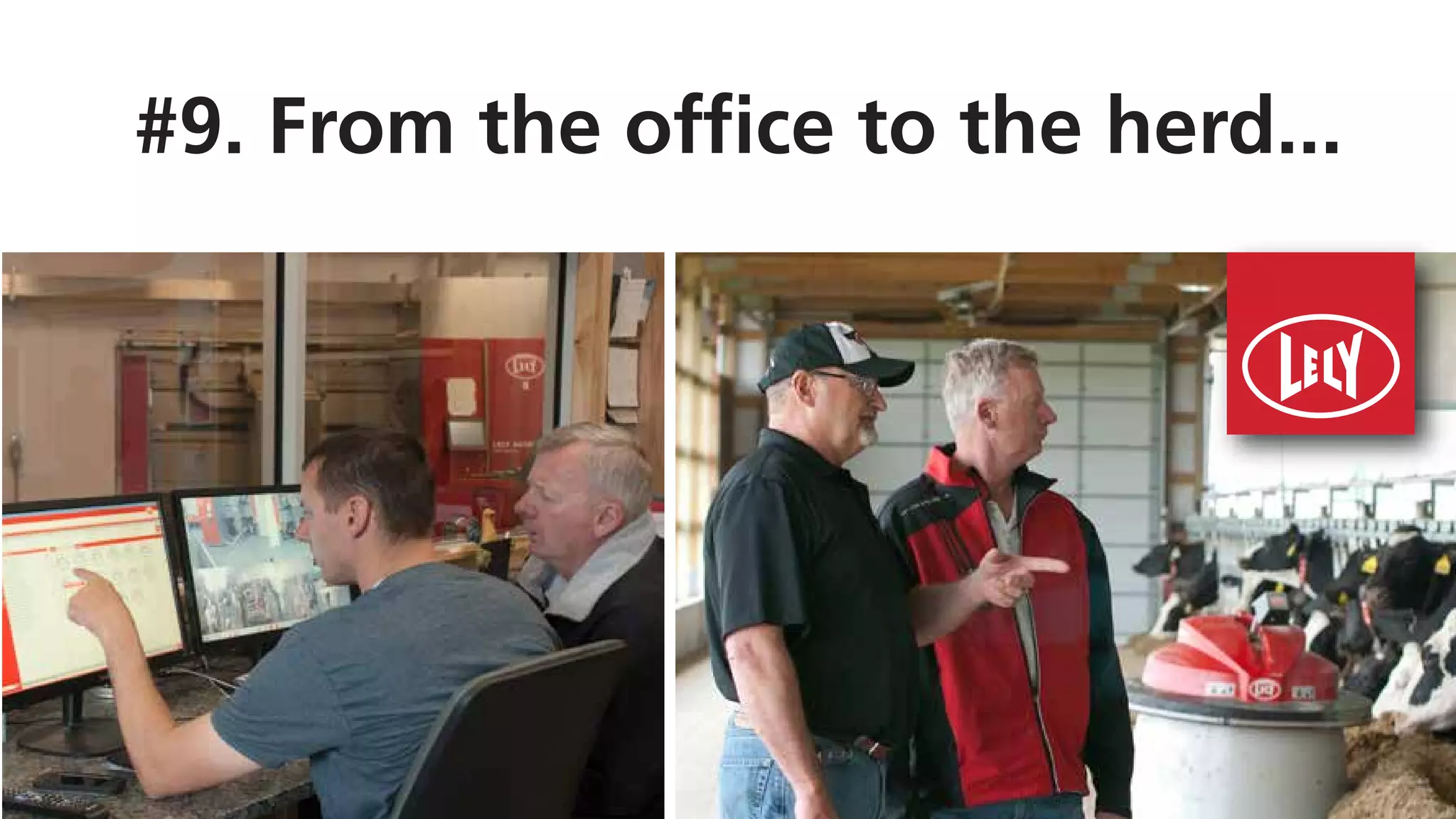 #9. From the office to the herd...
 