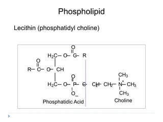 Phospholipid
Lecithin (phosphatidyl choline)
O
O
H2C O C R
O
R C O CH
H2C O P O CH2 CH2 N
+
CH3
CH3
CH3
O_
Phosphatidic Acid Choline
 