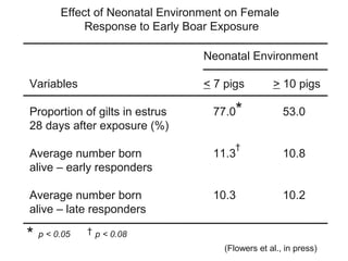 Dr. Billy Flowers - Possible physiological benchmarks for sow longevity ...